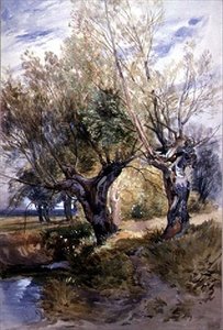 Knotwilgen in Windsor Weiden door Thomas Collier